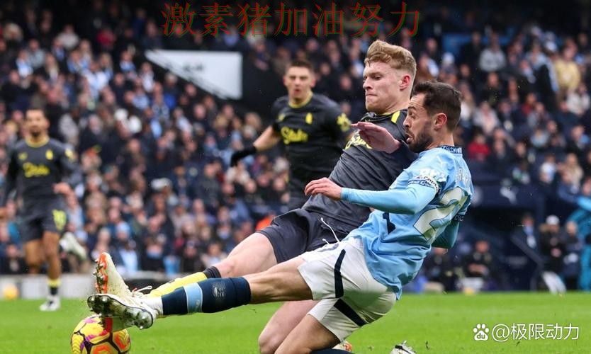 独行侠突然低迷球迷情绪彻底被点燃 独行侠突然低迷球迷情绪彻底被点燃